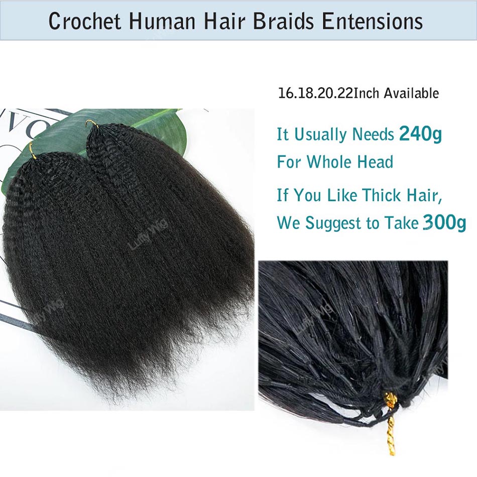 Knotless Crochet Human Hair Ex - Hair Care Color review and price