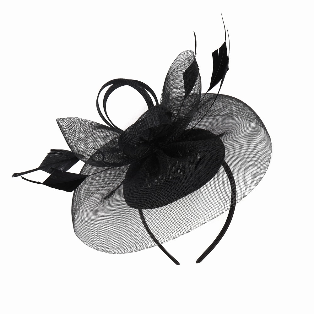 Fashion Feathers Mesh Fascinat - Hair Net Invisible review and price