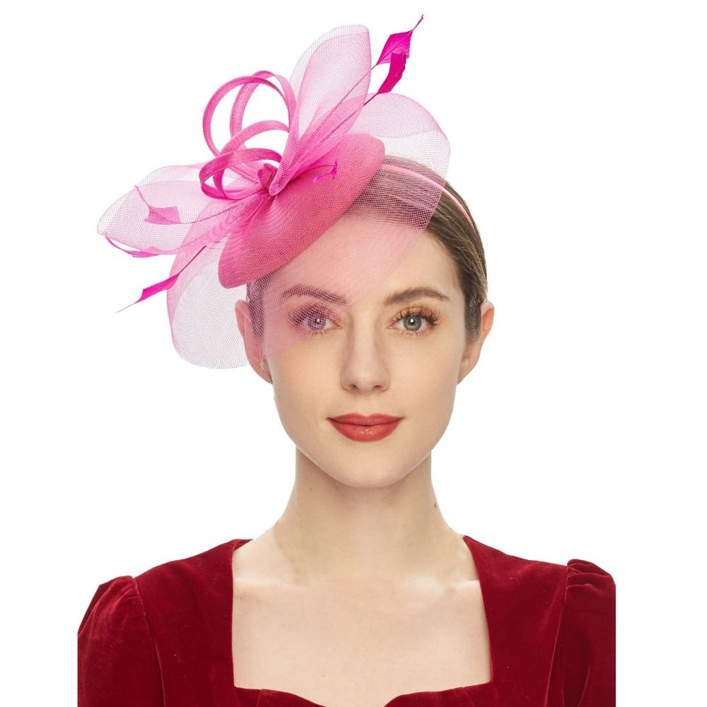 Fashion Feathers Mesh Fascinat - Hair Net Invisible review and price