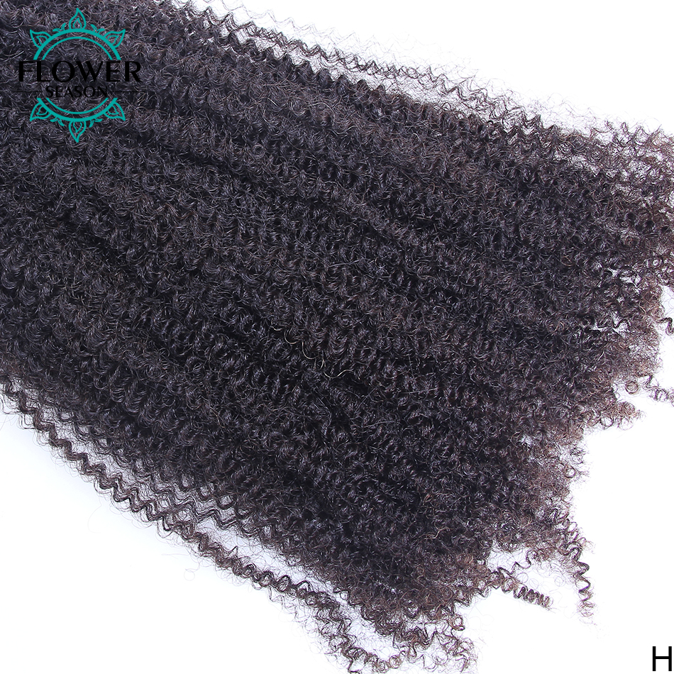 Afro Kinky Curly Human Hair Bu - Hair Care Color review and price